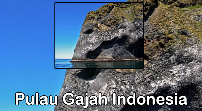 Pulau Gajah Pesona Tersembunyi di Indonesia