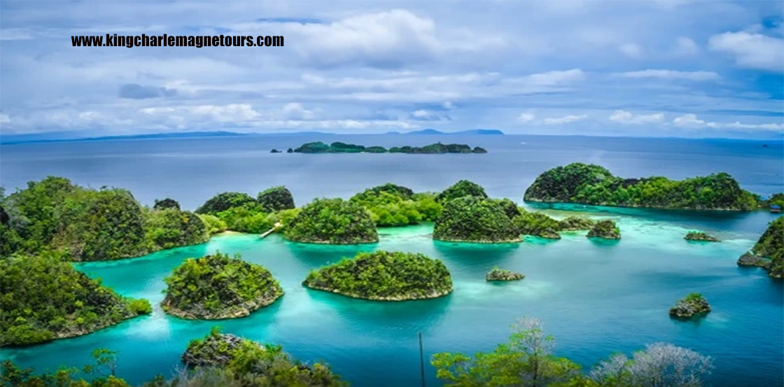 Pulau Papua Surga Keanekaragaman