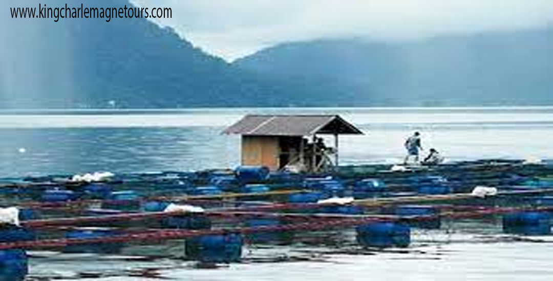 Danau Maninjau Permata Alam